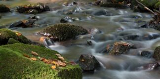 Jak obliczyć płynność?