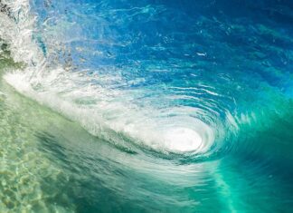 Jak obliczyć dynamikę kosztów?