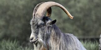 Jakie są krytyczne punkty kontroli?