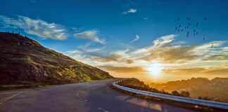 Co obrazuje krzywa obojętności?