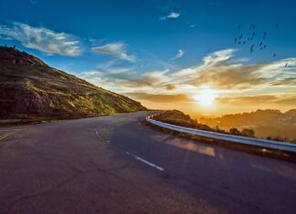 Co obrazuje krzywa obojętności?