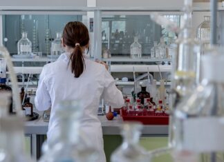 Na czym polega test predyspozycji językowych?