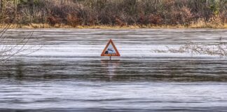 Czy nadmiar witaminy D jest szkodliwy?