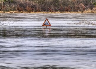 Czy nadmiar witaminy D jest szkodliwy?