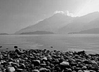 Ile kosztuje miesiąc Duolingo?