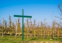 Kto nie musi wprowadzać regulaminu pracy zdalnej?