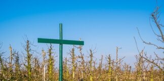 Kto nie musi wprowadzać regulaminu pracy zdalnej?