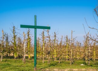 Kto nie musi wprowadzać regulaminu pracy zdalnej?