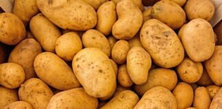 Ile kalorii ma ziemniaki gotowane?