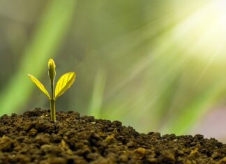 Jakie czynniki wpływają na rozwój turystyki?