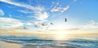 Czy piasek trzyma ciepło?