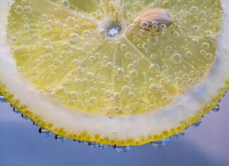 Z czego składa się HACCP?