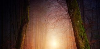 Co to znaczy estetyka?