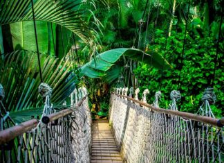 Ile kosztuje kurs Angloville?