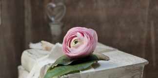 Jakie to są zobowiązania bieżące?