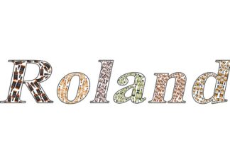 Jak interpretować wskaźnik ROA?