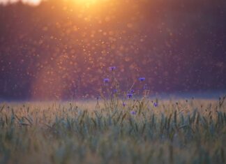 Co to są punkty krytyczne?