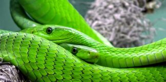 Jak dobrać skalę do wykresu?