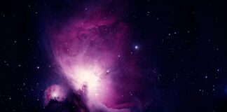 Jak można wykorzystać badania rynku do identyfikacji rynku docelowego?