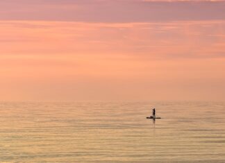 Co to są trendy rynkowe?