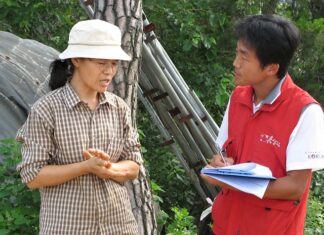 Kto udziela certyfikacji?