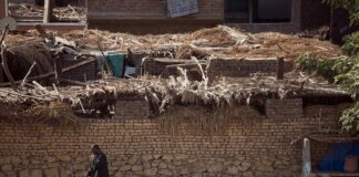 Jakie są normy jakościowe?