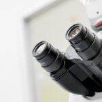 Jaki jest zakres audytu w przedsiębiorstwie?
